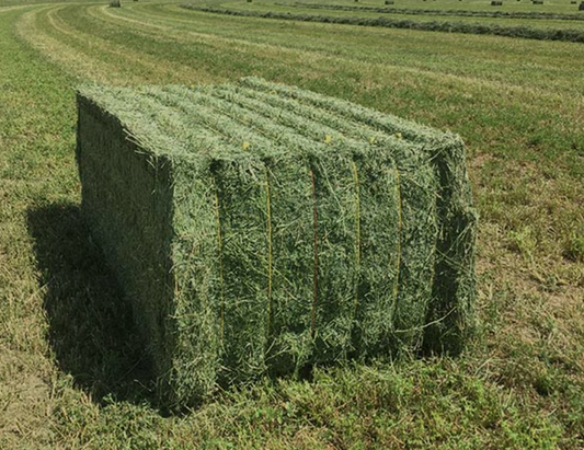Organic 3x4 Hay Bale