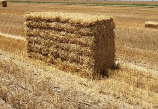 Organic Straw/Hay Bundle
