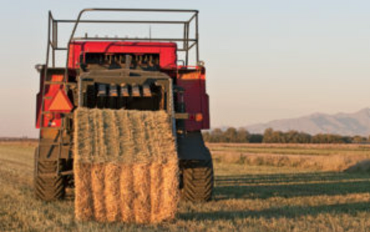 3x4 Straw Bale