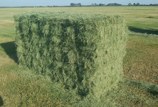 Organic Hay Bundle