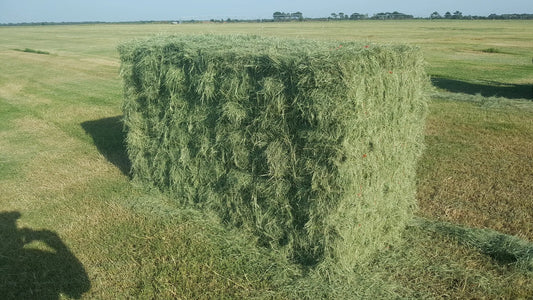 Hay Bundle